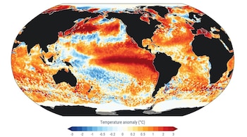 La temperatura media global de la superficie oceánica registró un récord de 21,1 °C el 22 de agosto según el Servicio de Cambio Climático de Copernicus