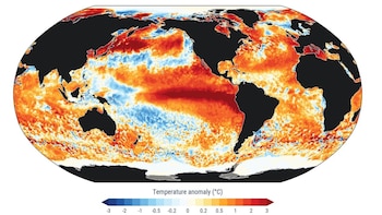 Récord global en los océanos: la temperatura media alcanza su máximo histórico en plena intensificación del fenómeno de El Niño