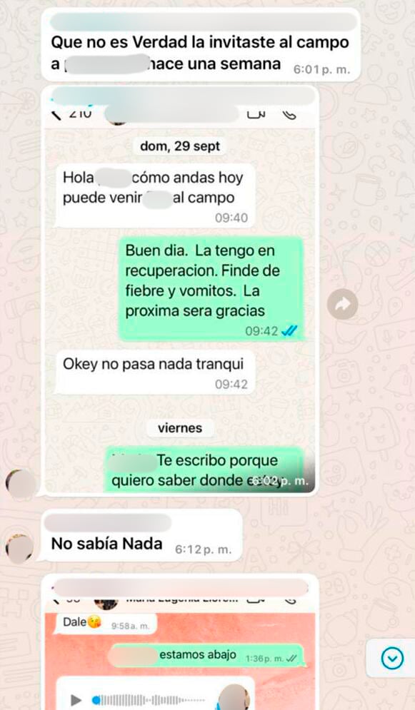 Otra de las conversaciones en el grupo