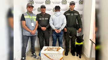 Policía Nacional capturó a un hombre que transportaba 15 partes de iguana destinadas, para consumo humano