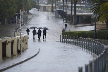Varias personas se protegen de la lluvia con un paraguas, a 03 de marzo de 2025, en Sevilla (Andalucía, España). (Joaquín Corchero/Europa Press)