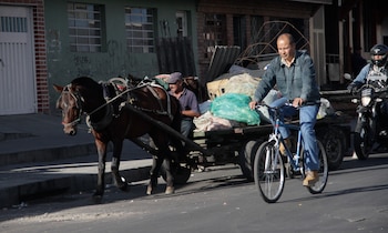 Carretas de tracción animal. Foto: