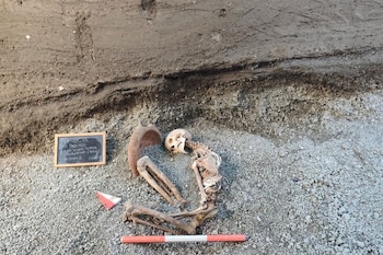 Una víctima de la erupción del Vesubio del año 79 d. C., en el yacimiento arqueológico de Pompeya, cerca de Nápoles, en el sur de Italia. (Ministerio de Cultura italiano vía AP)