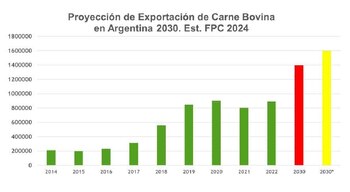 La producción de carne vacuna