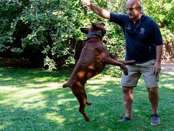 Imagen JAVBNELD7JHQHND6E4JBTBVVZQ