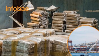 Un cargamento de mariscos congelados