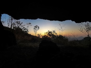 Foto: (Aarón Fernández)