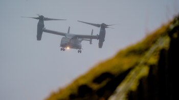 Al menos cinco marines murieron