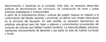 Neuquén: diseño curricular Nueva Escuela Secundaria