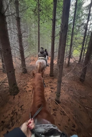 Las cabalgatas entre árboles centenarios fueron de un gran valor para el clan de Guillermina Valdes (Instagram)