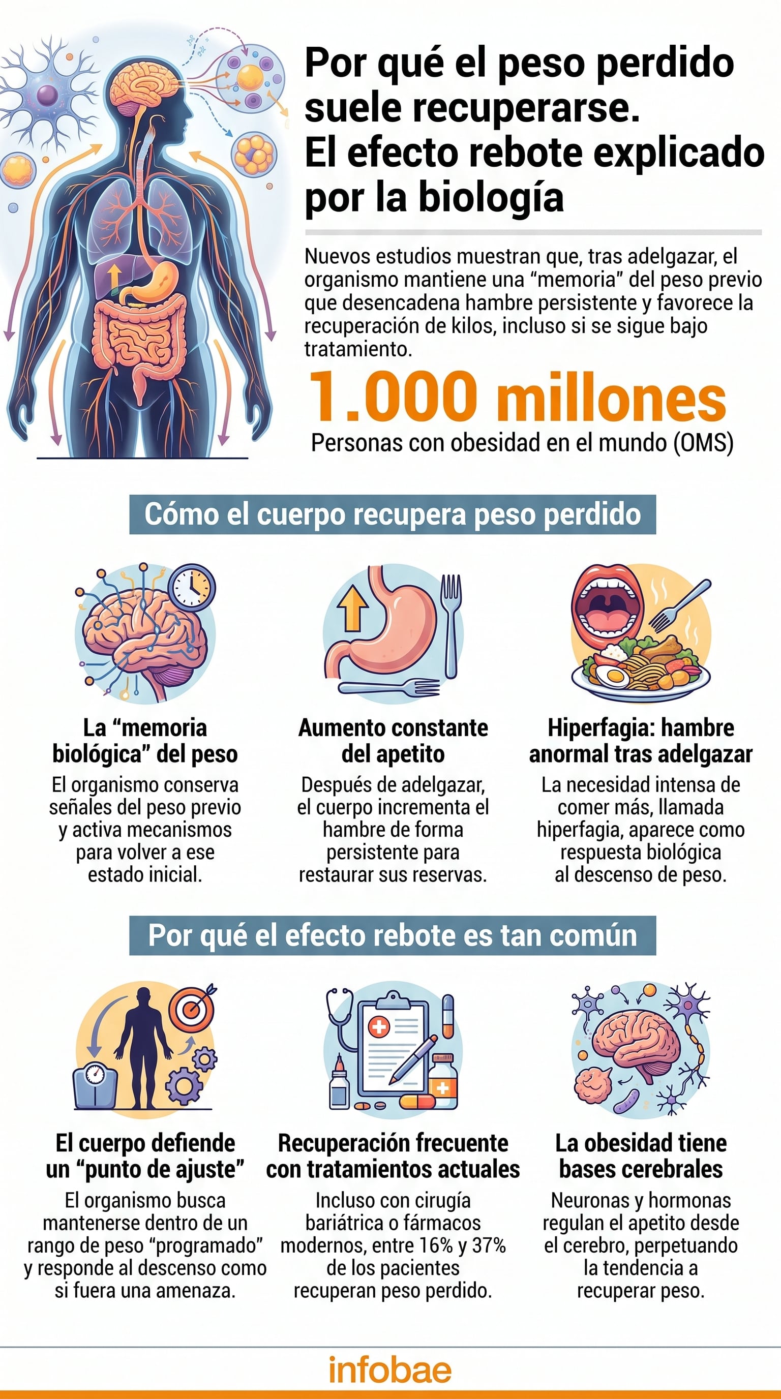 El organismo conserva una 'memoria biológica' del peso previo, lo que dificulta mantener el descenso logrado en el tratamiento de la obesidad (Imagen Ilustrativa Infobae)