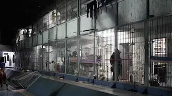 Con internet y televisión: así