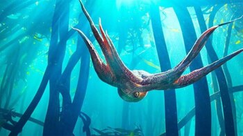 Muchas veces nos referimos a