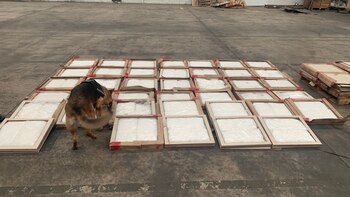 No se registraron persona detenidas