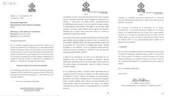 El recurso de apelación se