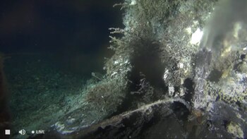 Chimenea hidrotermal del volcán. Captura