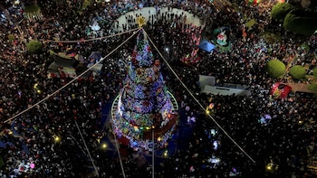 El encendido del árbol navideño