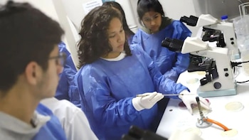 El Ministerio de Salud inició