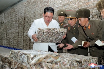 El líder norcoreano Kim Jong