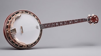 La palabra banjo es considerada