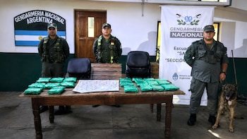 detencion roy toro pocco narco peruano