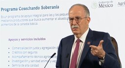 Este es el plan de Sheinbaum para la autosuficiencia alimentaria ante aranceles de Trump; conoce los nuevos programas sociales
