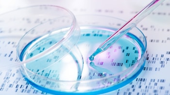 La biología molecular sigue los