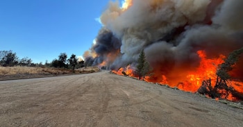 El incendio Park comenzó el 24 de julio de 2024 cerca de Chico, en el condado de Butte, y devastó más de 174.000 hectáreas sin dejar víctimas mortales (Active Norcal)