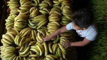 Rusia se queda sin bananas