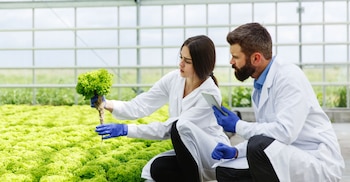 Día Internacional de la Sanidad Vegetal – Sanidad Vegetal – Perú – noticias – 11 mayo