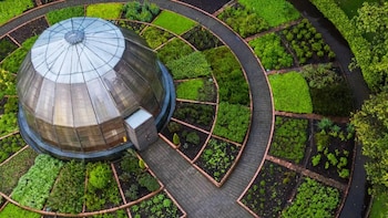 El Festival Estéreo Botánico invita a la ciudadanía a disfrutar de actividades ambientales, culturales y de bienestar en el Jardín Botánico durante el fin de semana festivo - Jardín Botánico José Celestino Mutis