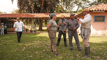 El proceso de entrega del