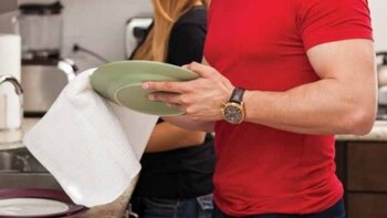 ¿Cuáles son los mejores lavatrastes,