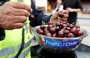La crisis de la cereza