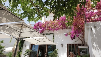 El pueblo donde mejor se come de Valencia es poco conocido, pero ideal para una visita gastronómica: huerta, arroces y dos restaurantes de premio