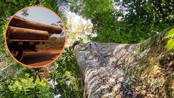 De acuerdo a una investigación