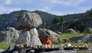 Valle de los Hongos 1 de febrero 2024