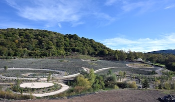 El trabajo comenzó en 2018,