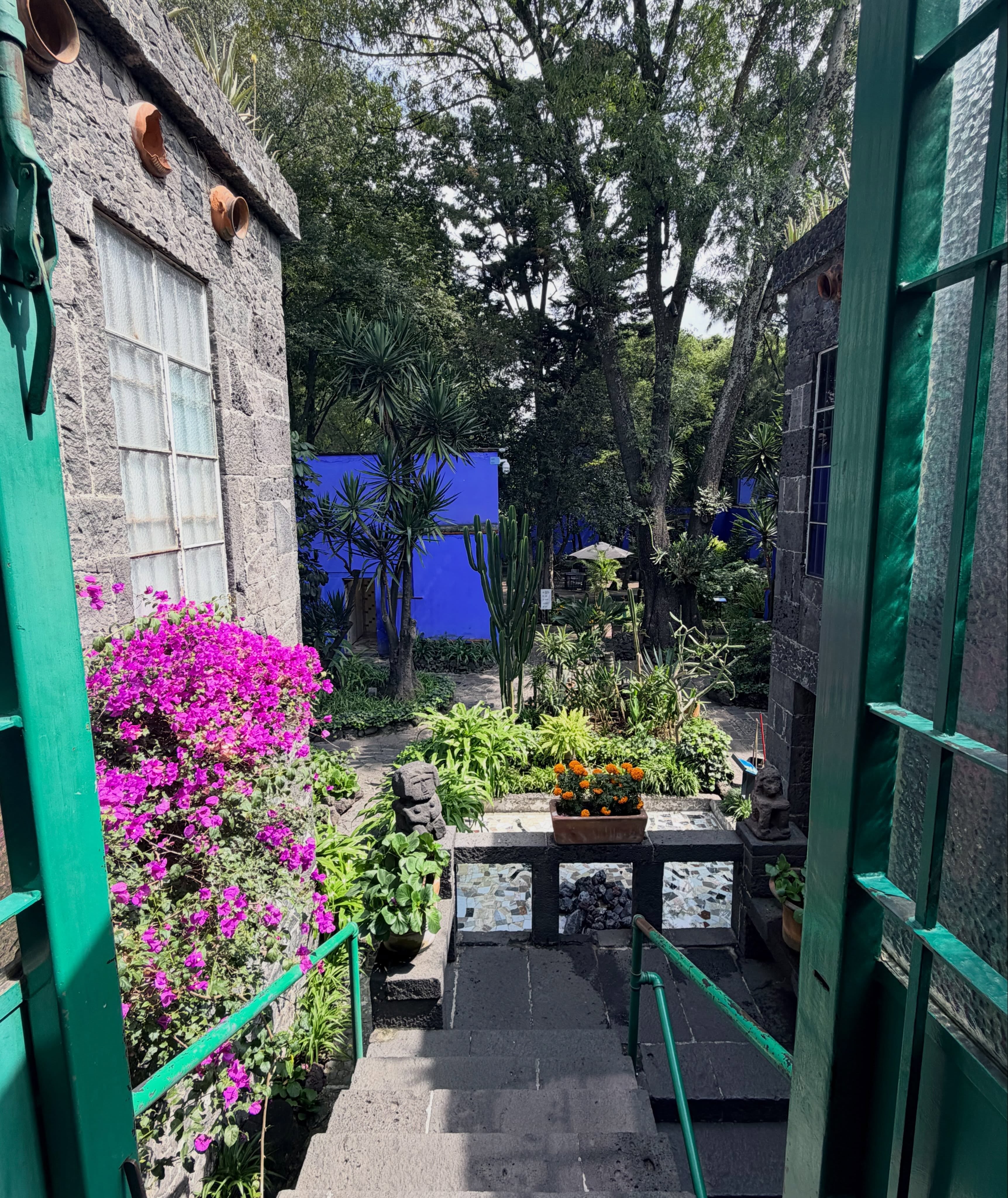 El patio interior del Museo Frida Kahlo reúne vegetación diversa, esculturas de piedra volcánica y muros azules en la alcaldía de Coyoacán