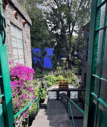 Escalones de piedra con baranda verde que descienden hacia un jardín con plantas, flores fucsias, árboles y una pared de color azul intenso