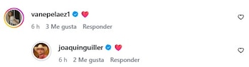 El intercambio de emoticones entre el cantante y la modelo ratificó el romance de forma pública ante la audiencia - crédito @vanepelaez1 y @joaquinguiller/Instagram