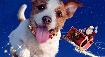 Película 'El Perrito De Santa'