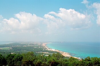 Capitol Records negó daños ambientales