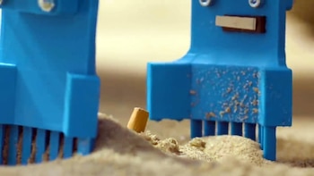 Cada año, las playas reciben