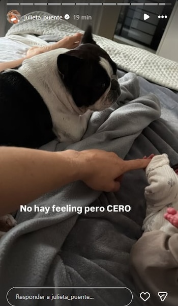 El momento de la presentación de Burpi, el perro de Juli Puente con Serena, su beba recién nacida (Instagram)
