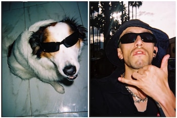 El proyecto de LifeofFilm revela