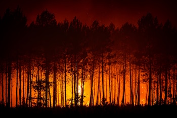 Fotografía facilitada por el SDIS 33 el servicio oficial de bomberos y rescate de la zona de Gironda que muestra el incendio que sigue activo en el bosque situado entre Cestas y Marcheprime, en el suroeste de Francia. EFE/EPA/Julien Soulard /HANDOUT HANDOUT EDITORIAL USE ONLY/NO SALES