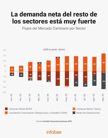 Gráfico de barras verticales sobre flujos del mercado cambiario por sector con cifras en millones de dólares y la marca Infobae