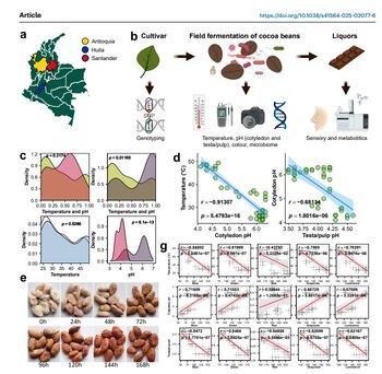 Los chocolates estudiando fueron recolectados