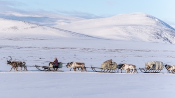 Así se vive una semana